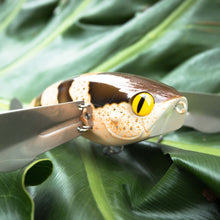 JACKALL MEGA POMPADOUR 120MM 57GRM SURFACE LURE [COLOUR:BROWN LIZARD]