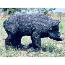  WILDCRETE AUSTRALIAN FERAL BOAR 3D ARCHERY TARGET BLACK