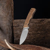 SPIKA Bushmaster Jeremiah Fixed Blade Knife with Natural Deer Antler Handle