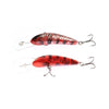 SMAK LURE HARD BODY LURE