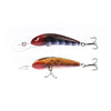 SMAK LURE HARD BODY LURE