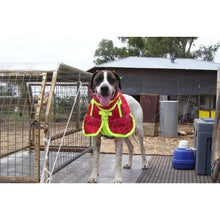  DUNCANS FULL BODY COLLAR WITH SHOULDER FLAPS