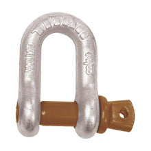  BLA D SHACKLE 10MM RATED 1000KG WORKING LOAD